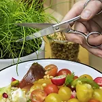 Mercure Resort&spa