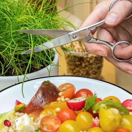 מלון Mercure Resort&spa קריניצה זדרוי